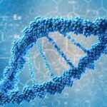 Profile picture of محمد الموسوي